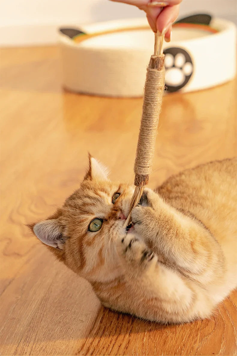 Natuurlijke Tandreinigingssticks voor Katten: Groene, langwerpige sticks voor gebitsverzorging, verminderen tandplak en verbeteren mondhygiëne