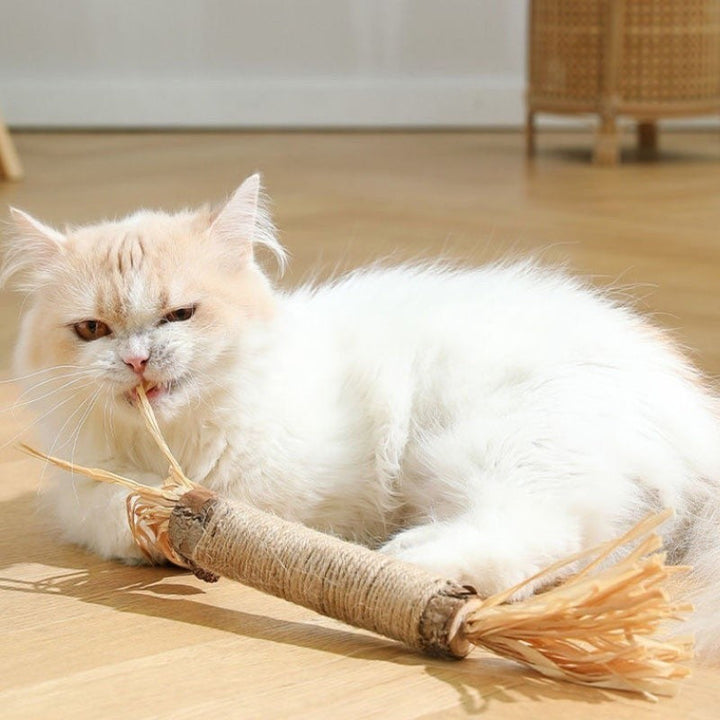 Natuurlijke Tandreinigingssticks voor Katten: Groene, langwerpige sticks voor gebitsverzorging, verminderen tandplak en verbeteren mondhygiëne