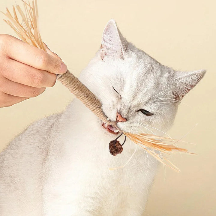 Natuurlijke Tandreinigingssticks voor Katten: Groene, langwerpige sticks voor gebitsverzorging, verminderen tandplak en verbeteren mondhygiëne