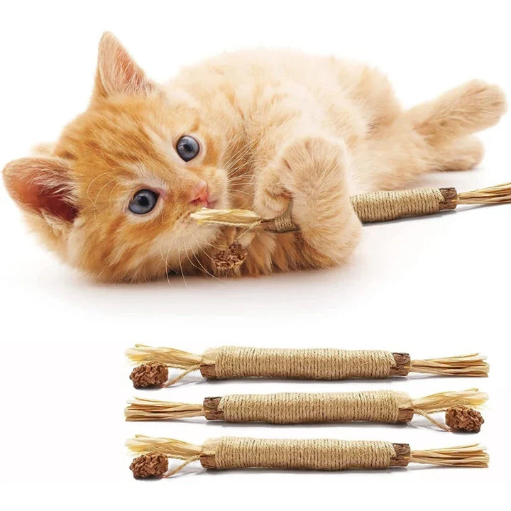 Natuurlijke Tandreinigingssticks voor Katten: Groene, langwerpige sticks voor gebitsverzorging, verminderen tandplak en verbeteren mondhygiëne