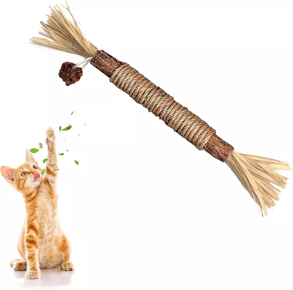 Natuurlijke Tandreinigingssticks voor Katten: Groene, langwerpige sticks voor gebitsverzorging, verminderen tandplak en verbeteren mondhygiëne