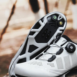 Wit