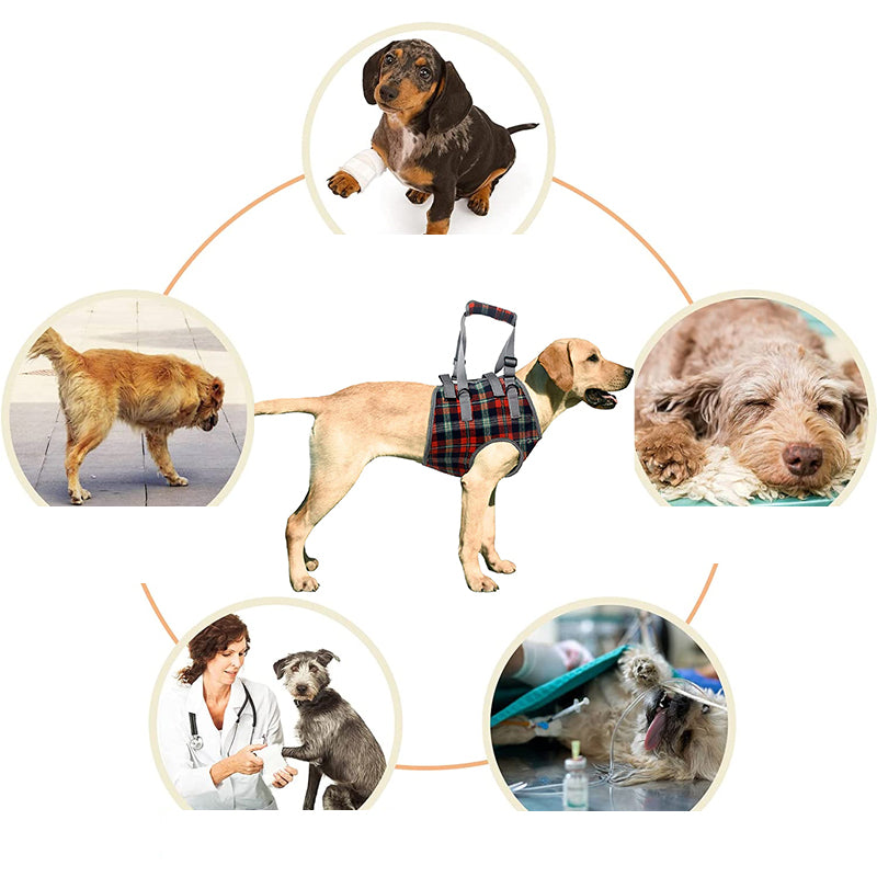 Orthopedisch hondentuig met verstelbare riemen voor ondersteuning van de achterpoten, ergonomisch ontwerp voor stabiliteit.