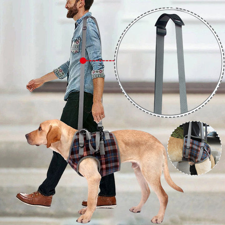 Orthopedisch hondentuig met verstelbare riemen voor ondersteuning van de achterpoten, ergonomisch ontwerp voor stabiliteit.