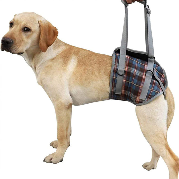 Orthopedisch hondentuig met verstelbare riemen voor ondersteuning van de achterpoten, ergonomisch ontwerp voor stabiliteit.