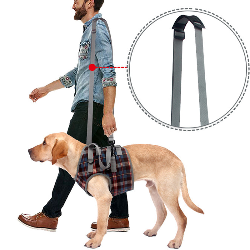 Orthopedisch hondentuig met verstelbare riemen voor ondersteuning van de achterpoten, ergonomisch ontwerp voor stabiliteit.