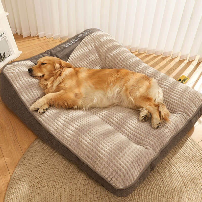 Hondenbed orthopedisch, extra dik voor maximaal comfort, krasbestendig en met hoofdsteun.