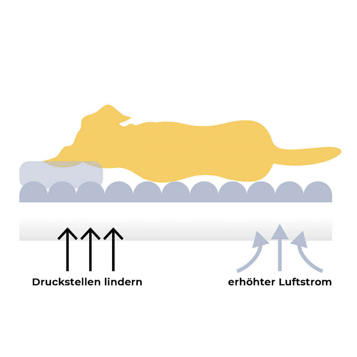 Orthopedische XXL hondenbank met dambordpatroon, extra groot en wasbaar, ideaal voor comfort en stijl in bruin.