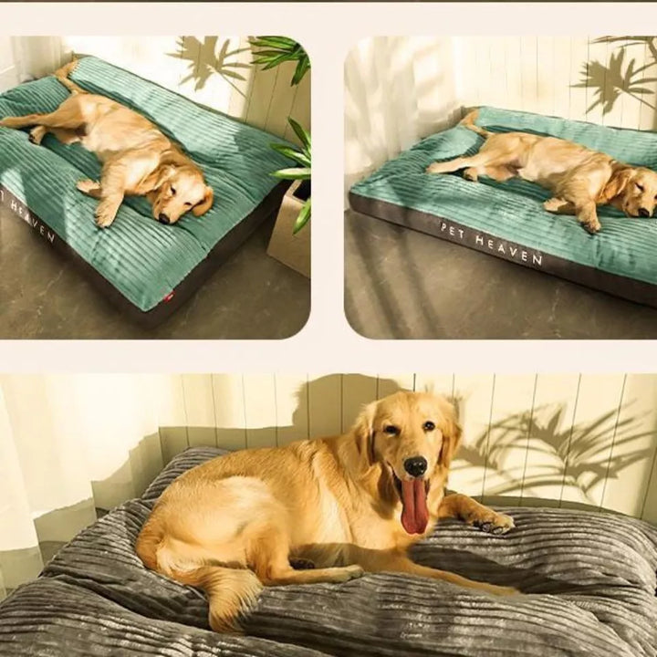 Wasbaar orthopedisch hondenbed in grijs of lichtgroen met afneembare hoes, ideaal voor hygiëne.