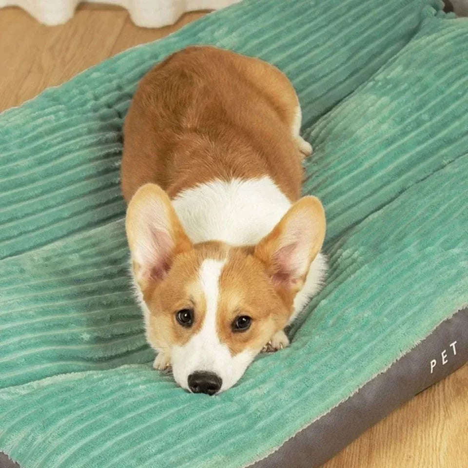 Zacht orthopedisch hondenkussen met duurzame, afneembare hoes. Biedt warmte en comfort voor honden.
