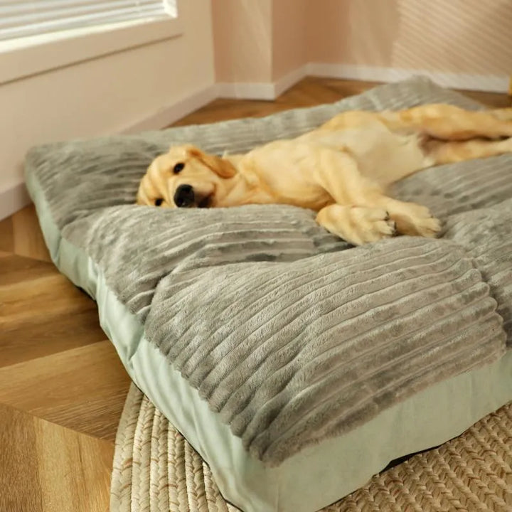 Orthopedisch hondenkussen voor een gezonde slaap. Verlicht drukpunten en biedt warmte voor elke hond.