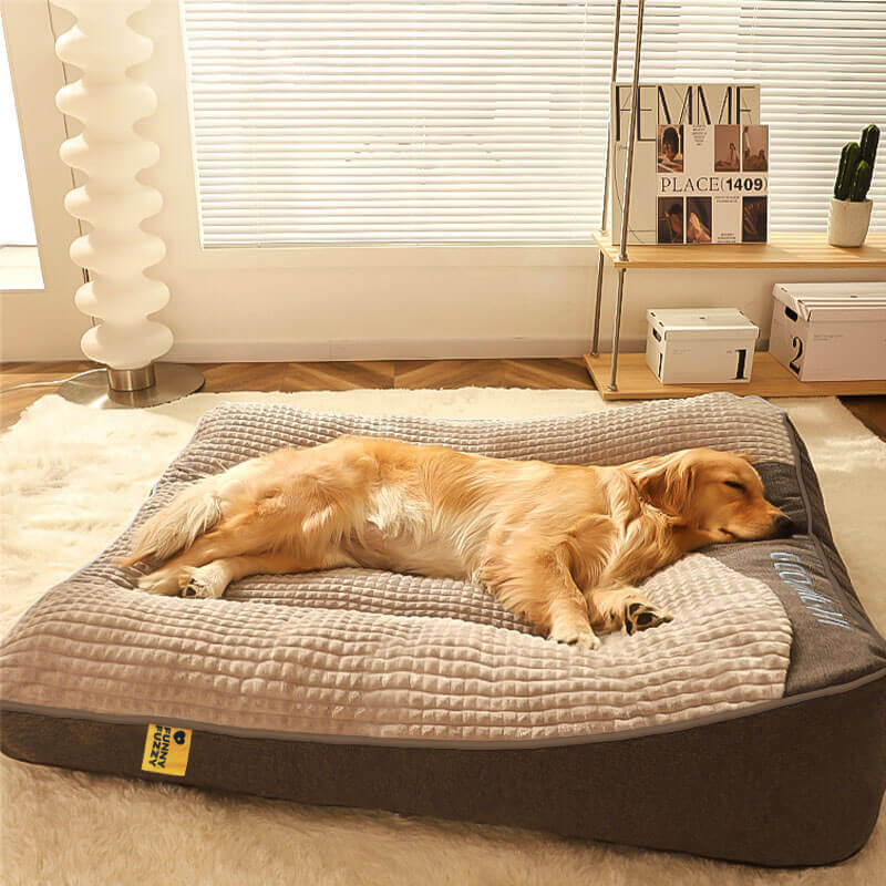 Groot orthopedisch hondenkussen met neksteun, perfecte ondersteuning voor oudere honden.