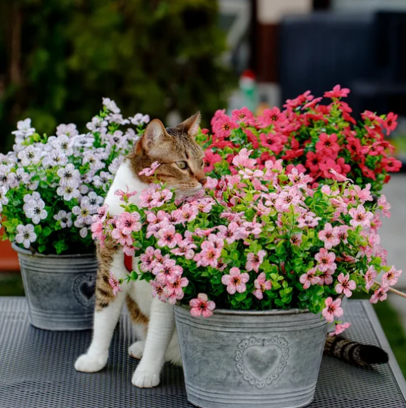 Levendige kunstbloemen voor interieurdecoratie, brengen kleur in huis zonder water geven.