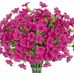 Roze