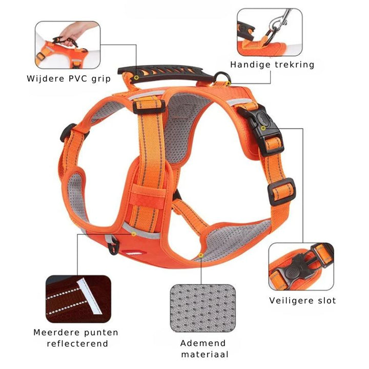 Hond draagt comfortabel reflecterend hondenharnas met anti-stik functie op een pad.
