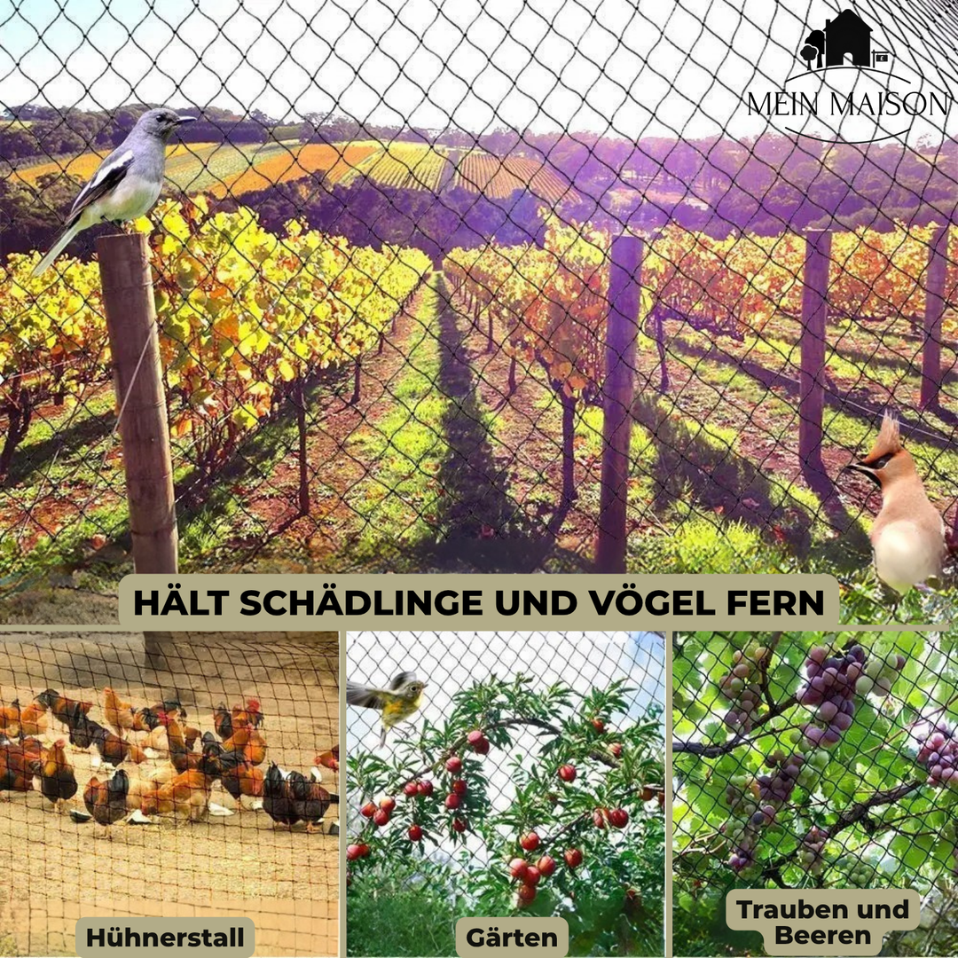 Beschermnet over moestuinbedden; effectieve plantenbescherming tegen vogels en insecten, duurzaam en UV-bestendig.