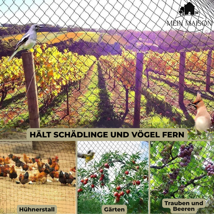 Beschermnet over moestuinbedden; effectieve plantenbescherming tegen vogels en insecten, duurzaam en UV-bestendig.