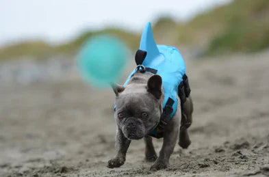 Honden reddingsvest met verstelbare riemen en stijlvolle haaienvin voor maximale veiligheid en plezier in het water.
