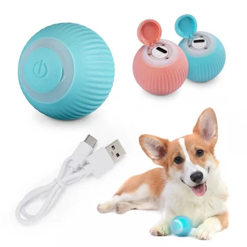 Zelfbewegende, oplaadbare Power Ball voor katten en honden, Aqua Groen, interactief huisdierspeelgoed.