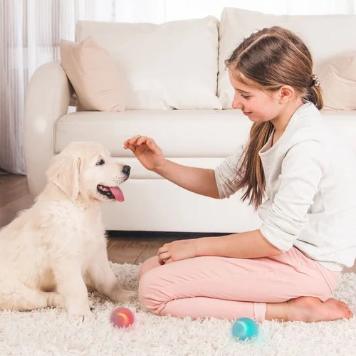 Zelfbewegende, oplaadbare Power Ball voor katten en honden, Aqua Groen, interactief huisdierspeelgoed.