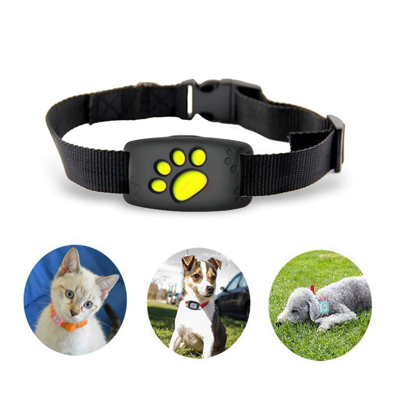 PawTrack huisdier tracker: waterdichte GPS-halsband voor kat & kleine hond. Nauwkeurige locatie zonder abonnement.