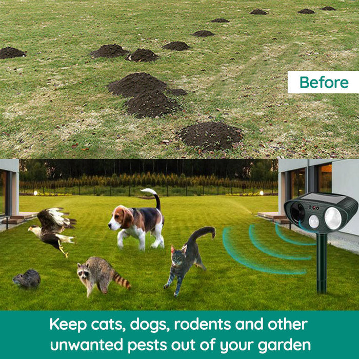 Ultrasone dierenverjager op zonne-energie in een tuin. Stijlvol ontwerp beschermt tegen wasberen en eekhoorns.