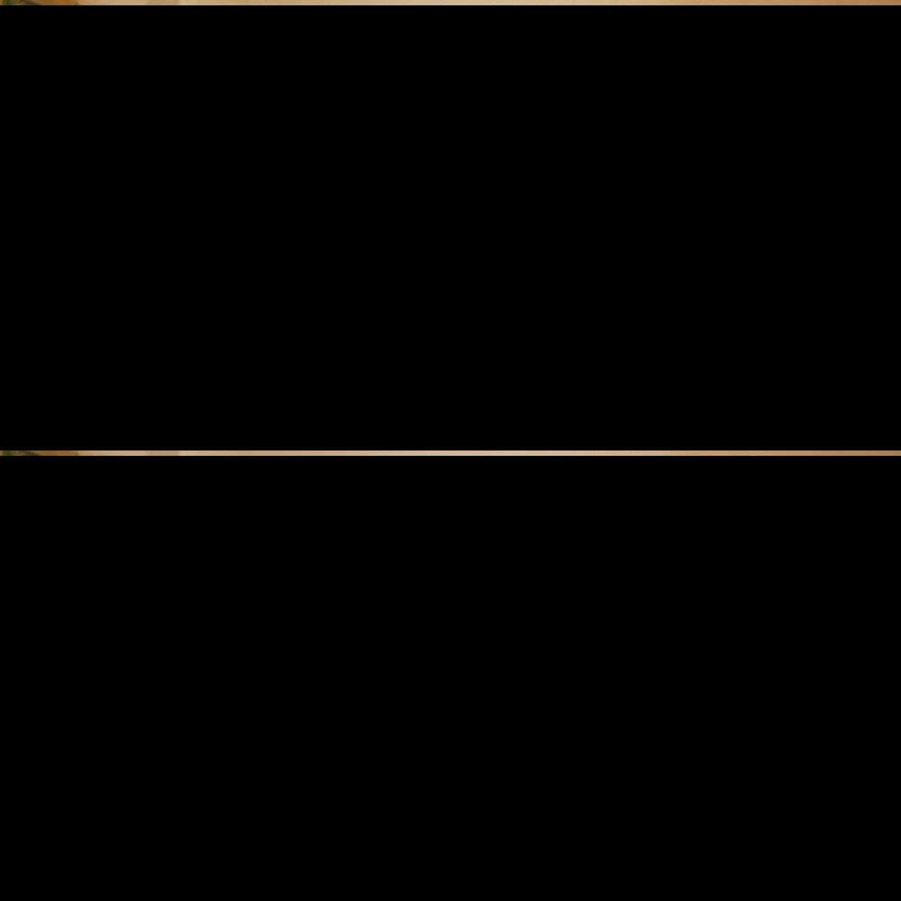 Zomerse jumpsuit voor dames, vooraanzicht, mouwloos, losse pasvorm, veelzijdig, modern en comfortabel voor elke gelegenheid