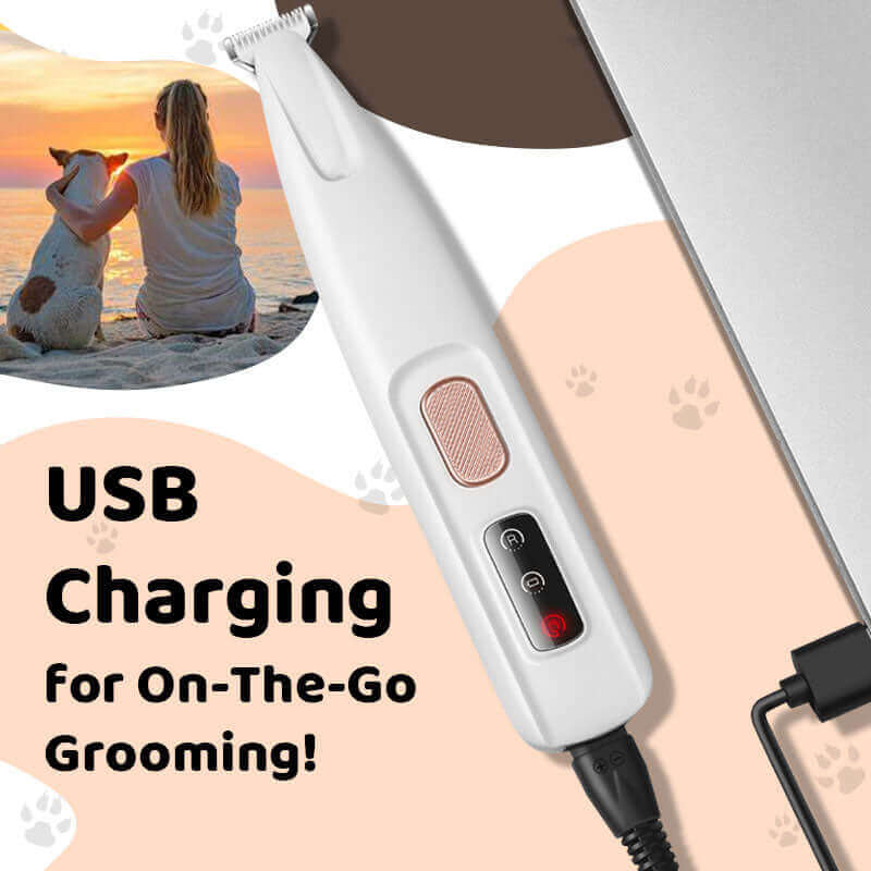 Veilige en Effectieve Huisdierverzorging voor Honden en Katten