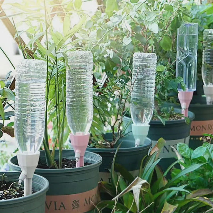 Druppelirrigatiesysteem in gebruik, aanpasbare spikes, ideaal voor doe-het-zelf tuin en potplanten, geautomatiseerde bewatering.