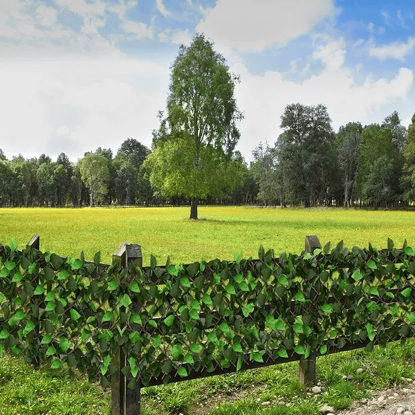 Uitschuifbare privacy haag met realistische kunstklimop, ideaal als tuindecoratie of voor gevels.