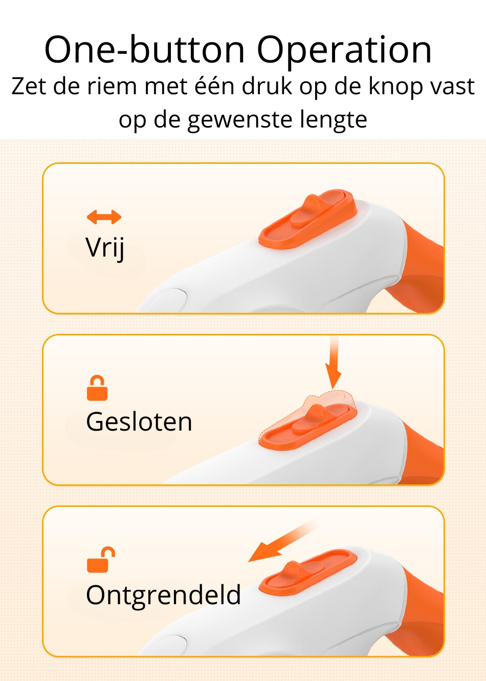 Compacte opgerolde uitschuifbare hondenriem met ingebouwde LED-lampjes, klaar voor gebruik.