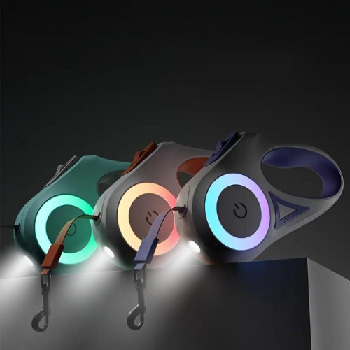 Zwarte uitschuifbare hondenriem met heldere LED-verlichting, ideaal voor nachtelijke veiligheid.