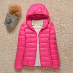 Roze Trui