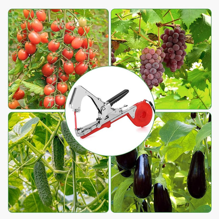 Plantenbinder in actie, ondersteunt tomatenplant; essentiële tuinierhulp voor gezonde, rechtopstaande planten.
