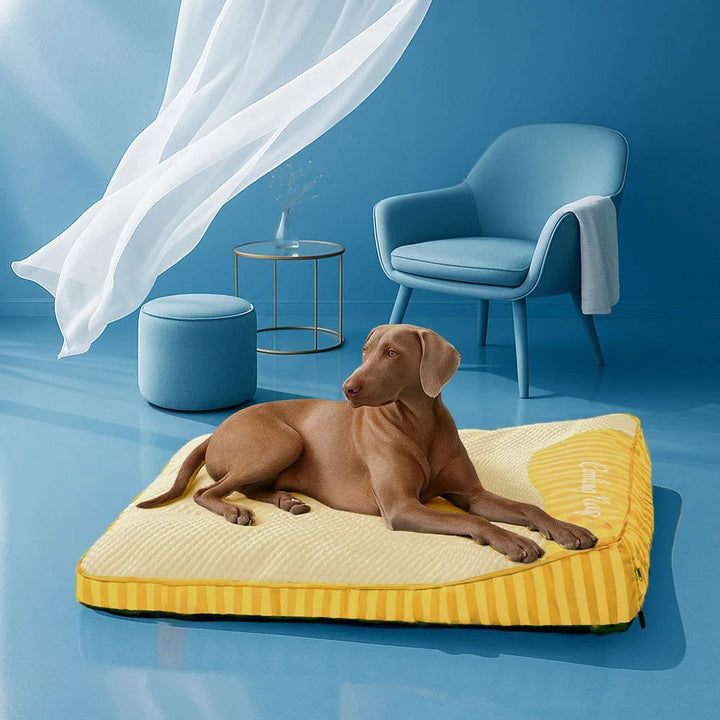 Hondenbed Groot - Koelend & Wasbaar | Orthopedisch Comfort