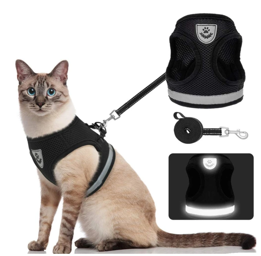Veilig kattentuigje AdventureKit met lijn; comfortabel, ontsnappingsvrij voor buitenwandelingen.