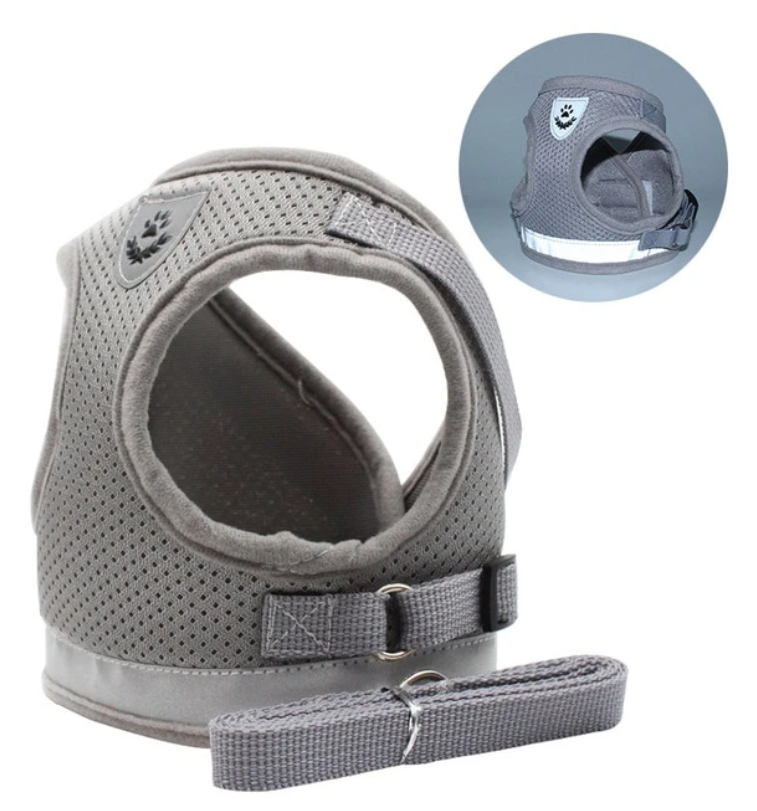 Huisdier kattentuigje AdventureKit met riem; comfortabel en stevig voor wandelen en exploratie.