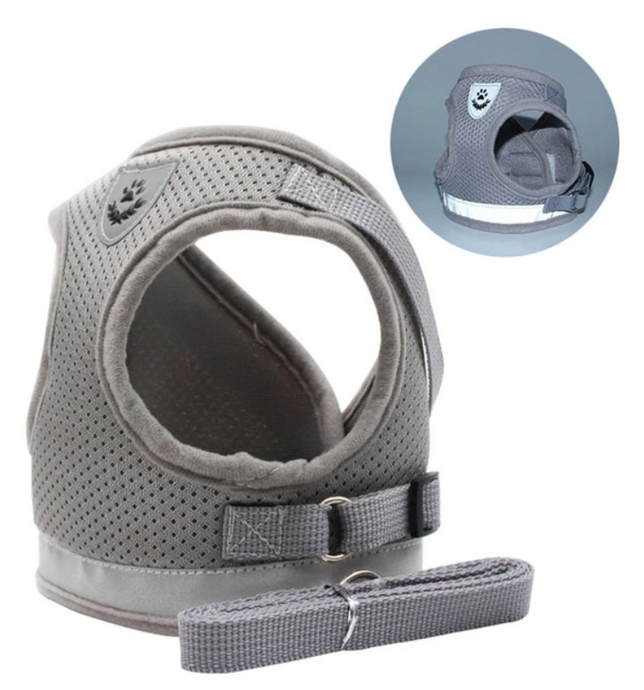 Huisdier kattentuigje AdventureKit met riem; comfortabel en stevig voor wandelen en exploratie.
