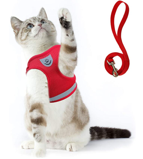 Zwart reflecterend kattentuigje en lijn; verstelbaar en veilig voor buiten met je actieve kat.