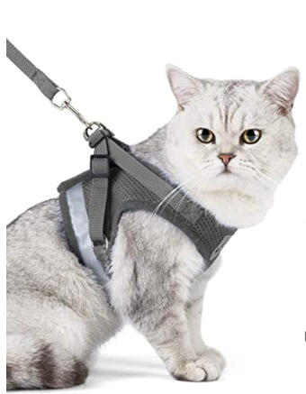 Ademend kattentuigje met lijn; comfortabel en anti-trekken, voor een fijne wandeling met je kat.