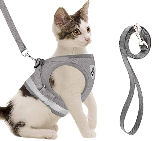 Het AdventureKit kattentuigje met riem; perfect voor veilig en gecontroleerd wandelen buiten.