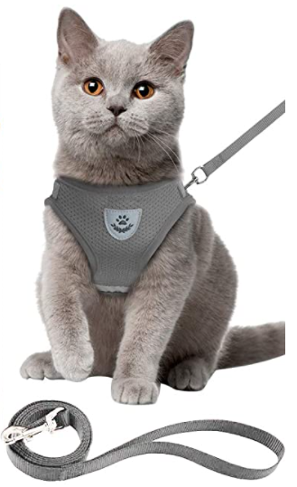 Ontsnappingsvrij kattentuigje & riem; biedt comfort en maximale veiligheid voor je huisdier buiten.