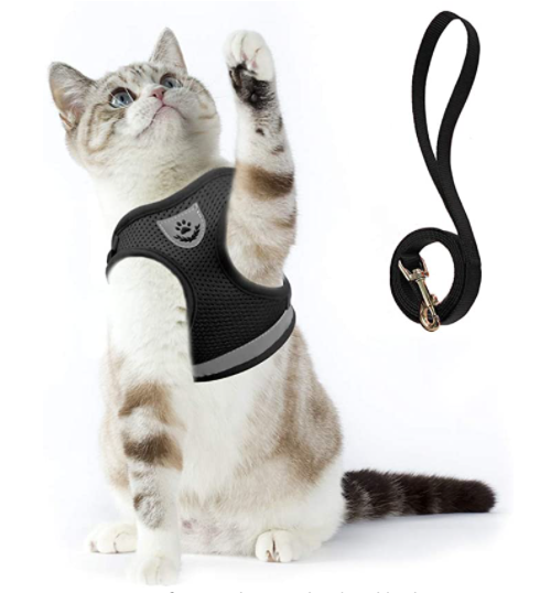 Verstelbaar reflecterend tuigje voor katten; met lijn voor veiligheid en controle tijdens wandelingen.