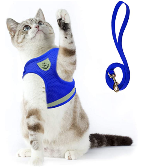Hoge kwaliteit kattentuigje AdventureKit; met lijn voor veilige, ontsnappingsvrije buitenavonturen.