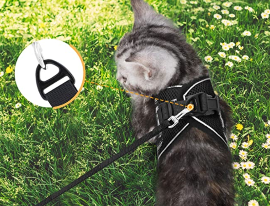 Reflecterend kattentuigje AdventureKit, veilig en comfortabel voor alle buitenactiviteiten met katten.
