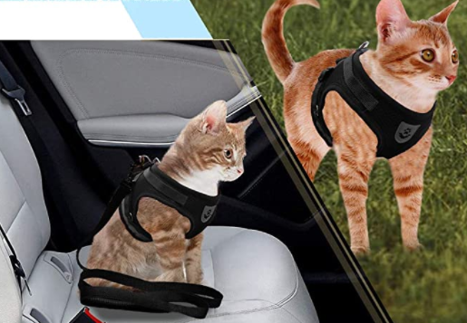 Anti-trekken kattentuigje met lijn; zorgt voor een veilige en plezierige wandeling voor je kat.