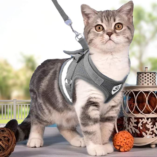 Duurzaam kattentuigje met riem voor buiten; comfortabel, verstelbaar en veilig voor je huisdier.