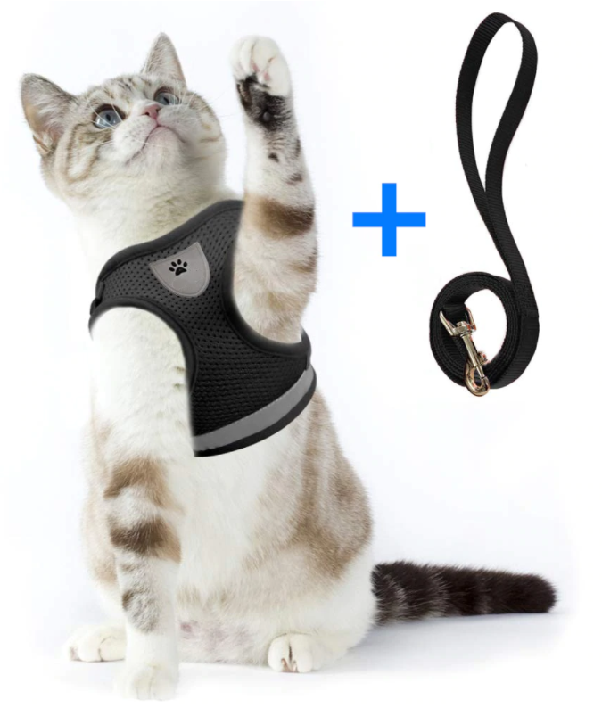 Groen AdventureKit kattentuigje met lijn, ontsnappingsvrij en reflecterend voor nachtwandelingen.