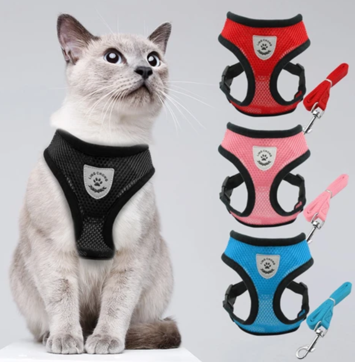 Comfortabel kattenriem en tuigje set; ideaal voor veilig wandelen en controle buiten.