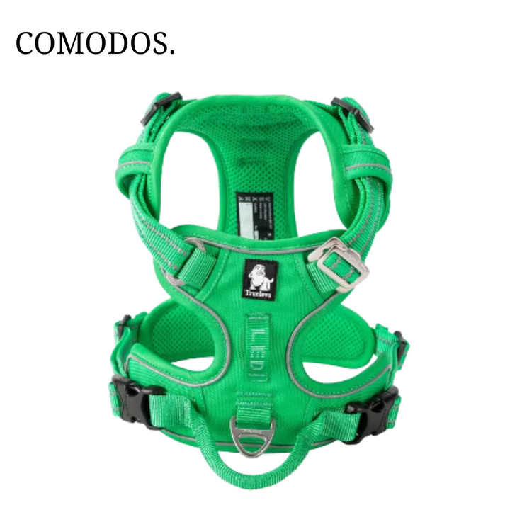 Actieve hond draagt een reflecterend, verstelbaar hondenharnas voor veiligheid tijdens outdoor spelen en wandelen.